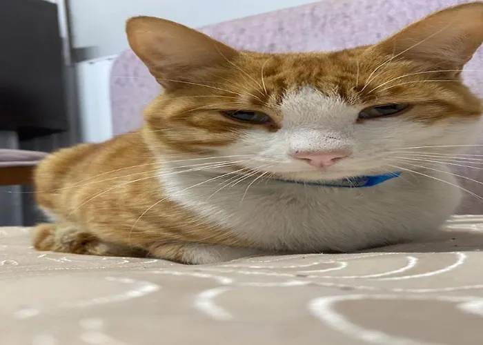 Cityhub Хостел Анталья