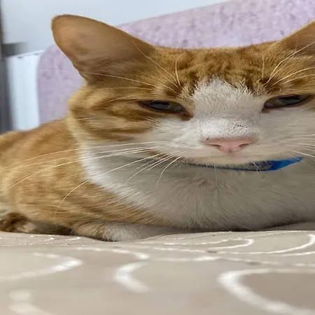 Cityhub Hostel Antalya